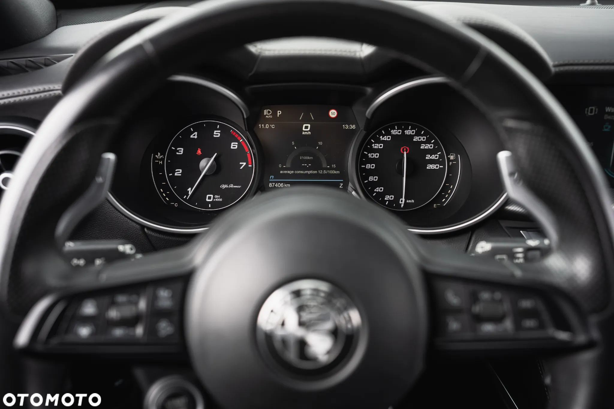 Alfa Romeo Stelvio 2.0 Turbo Veloce Q4 - 20