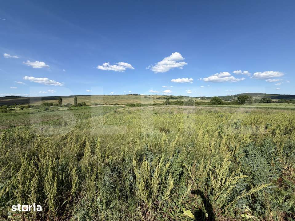 Teren intravilan in suprafata de 5900 mp la drum european - Imagine principală: 2/4