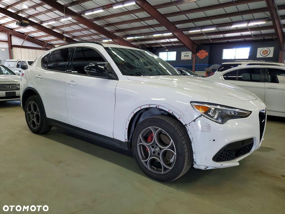 Alfa Romeo Stelvio 2.0 Turbo Q4 - 6