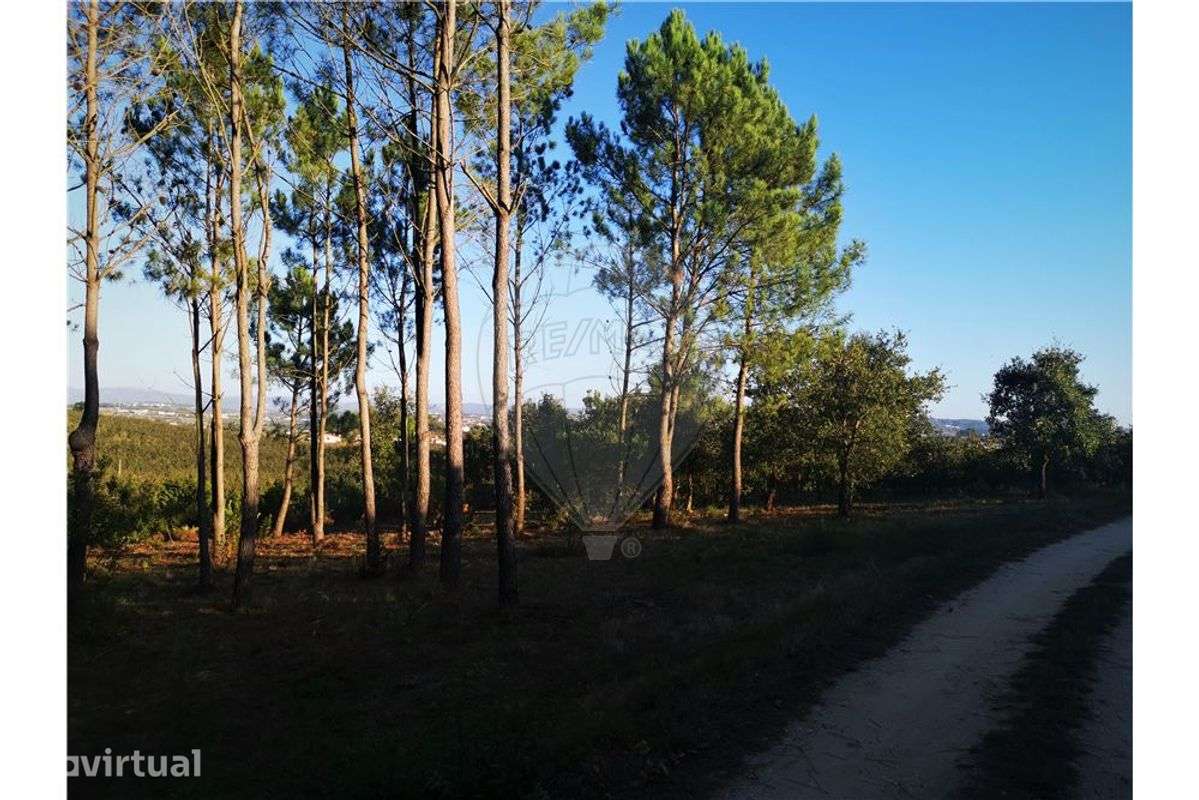 Terreno  para venda - Grande imagem: 2/3