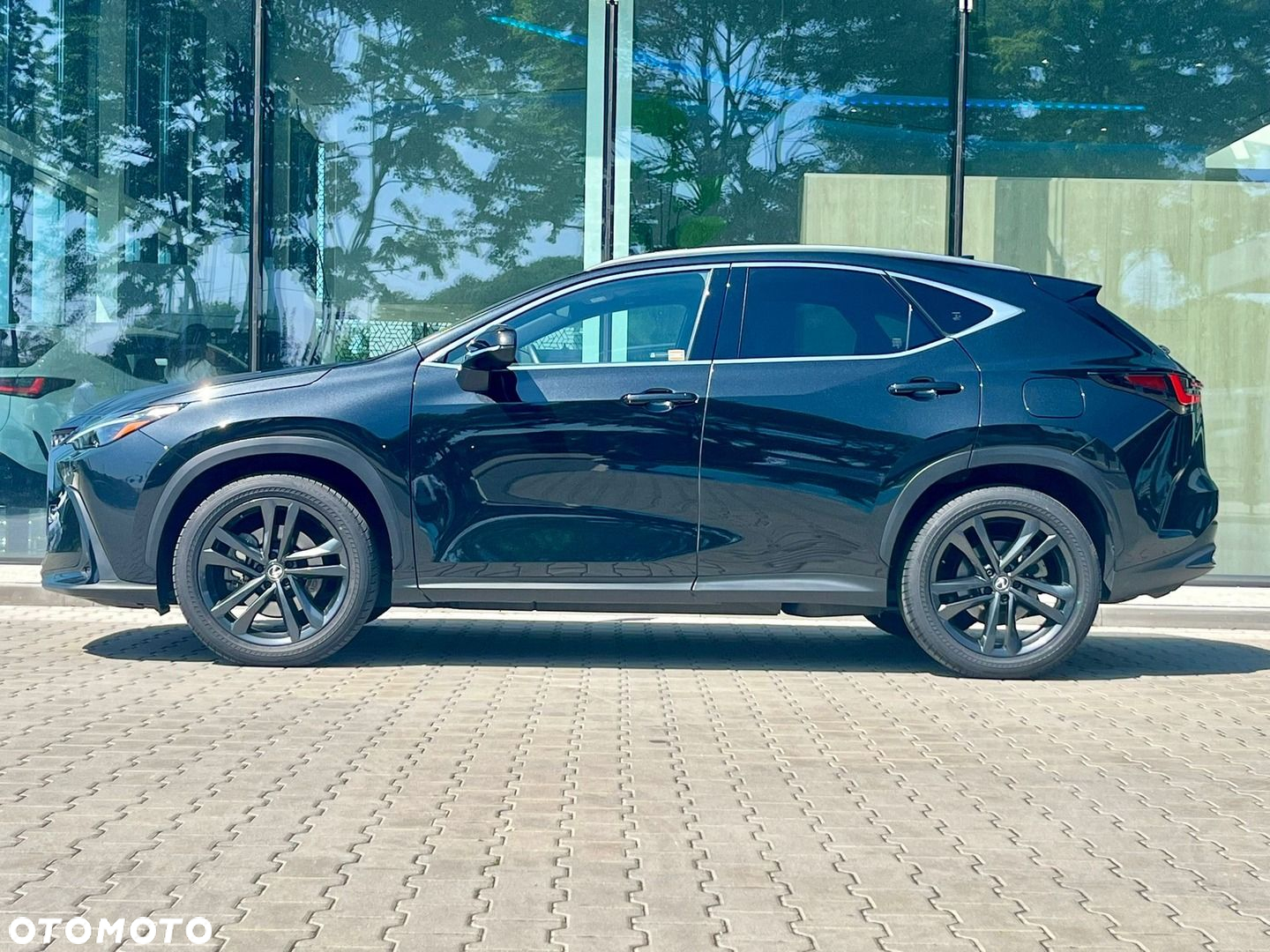 Lexus NX - 3