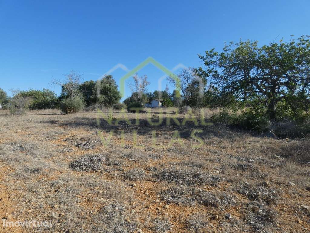 Terreno com Ruína em Mata Lobos, Faro - Grande imagem: 2/9