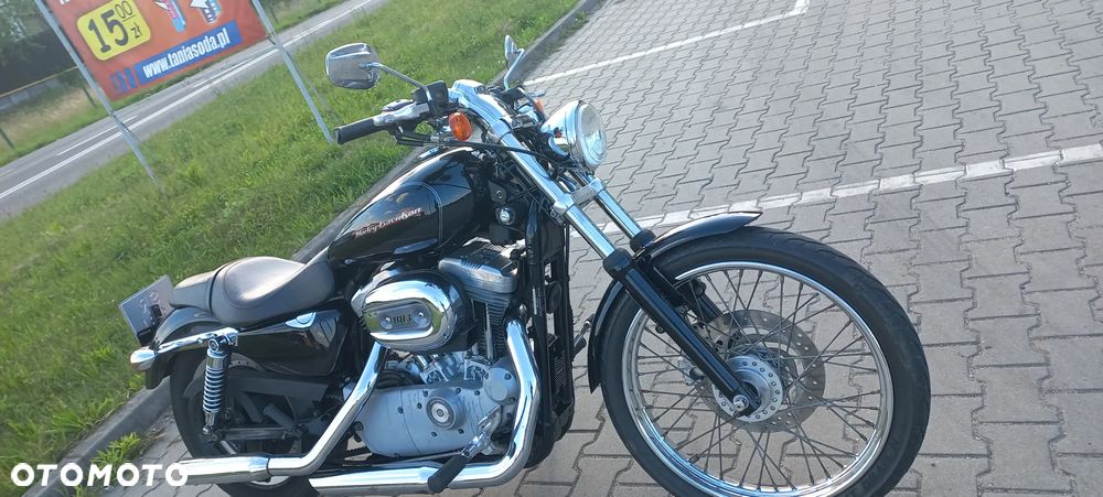 Harley-Davidson Sportster Custom 883C - 6