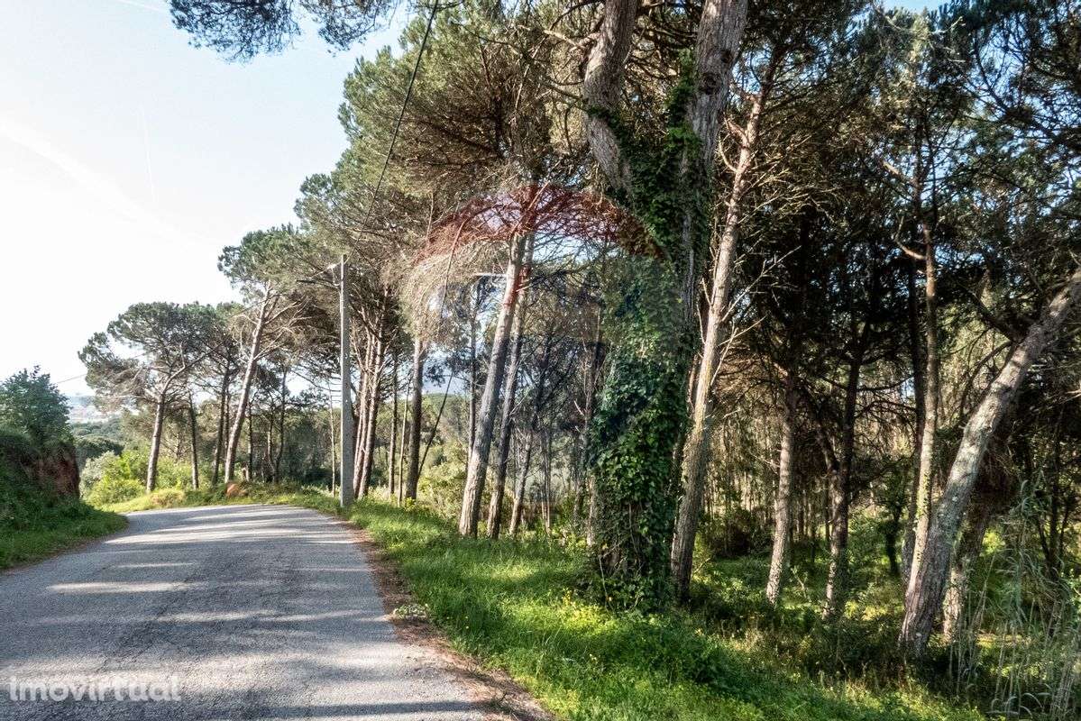 Terreno  para venda - Grande imagem: 5/17