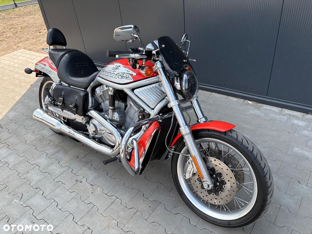 Harley-Davidson Softail V-Rod - 3