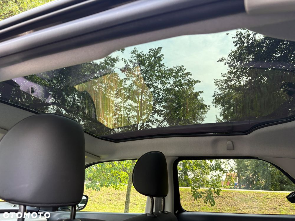 Citroën C4 Cactus 1.6 Blue HDi Shine Edition - 21