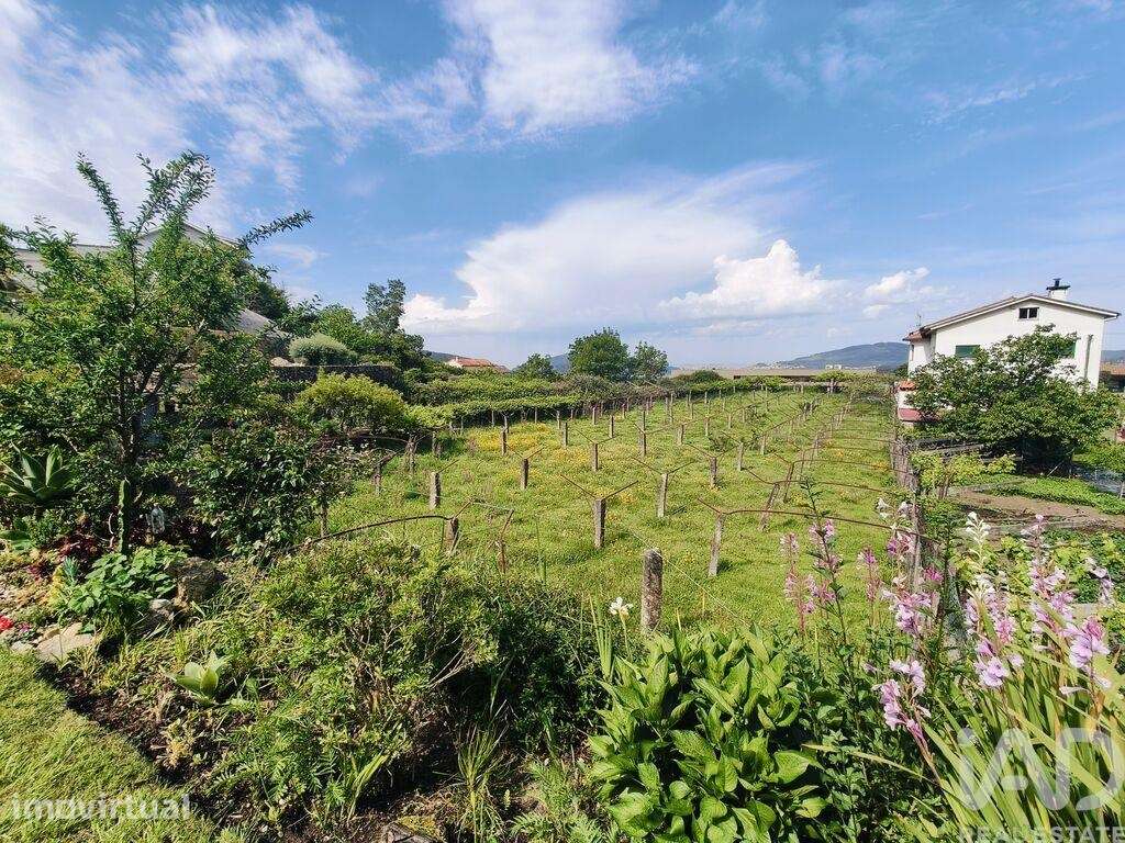 Terreno para construção em Lanhelas - Grande imagem: 4/19
