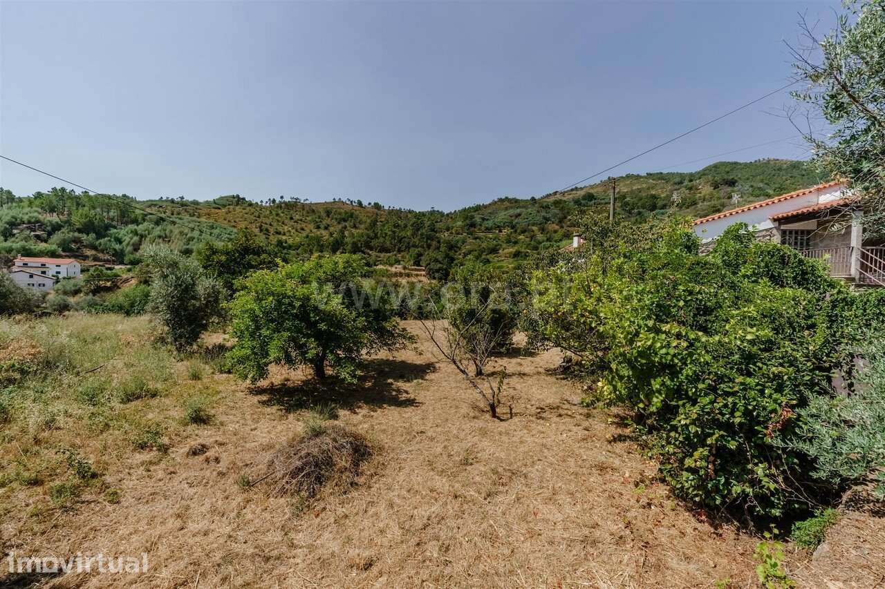 Terreno / Covilhã, Aldeia do Souto - Grande imagem: 4/11