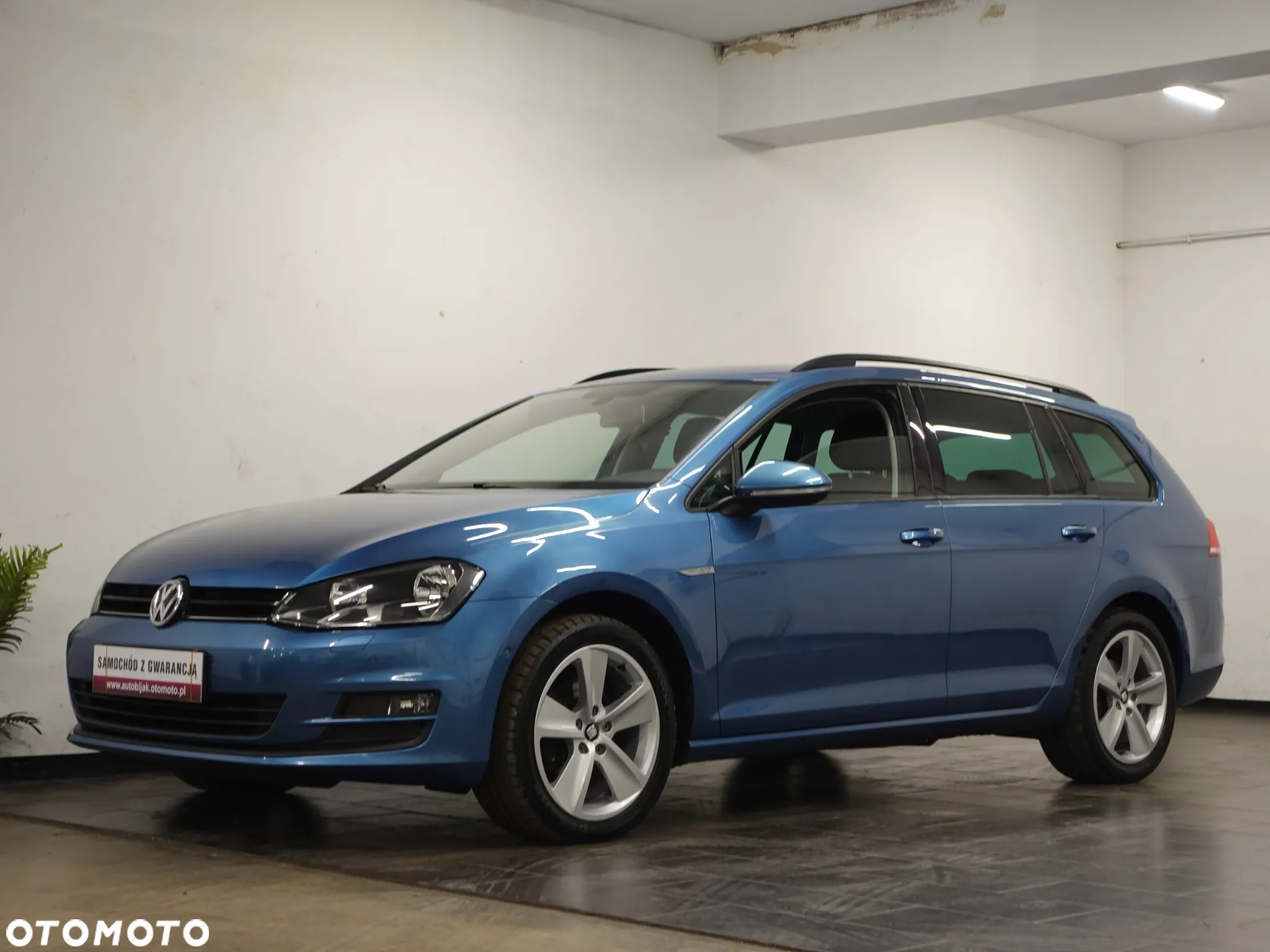Volkswagen Golf 1.6 TDI 4Motion BlueMotion Technology Cup - 4