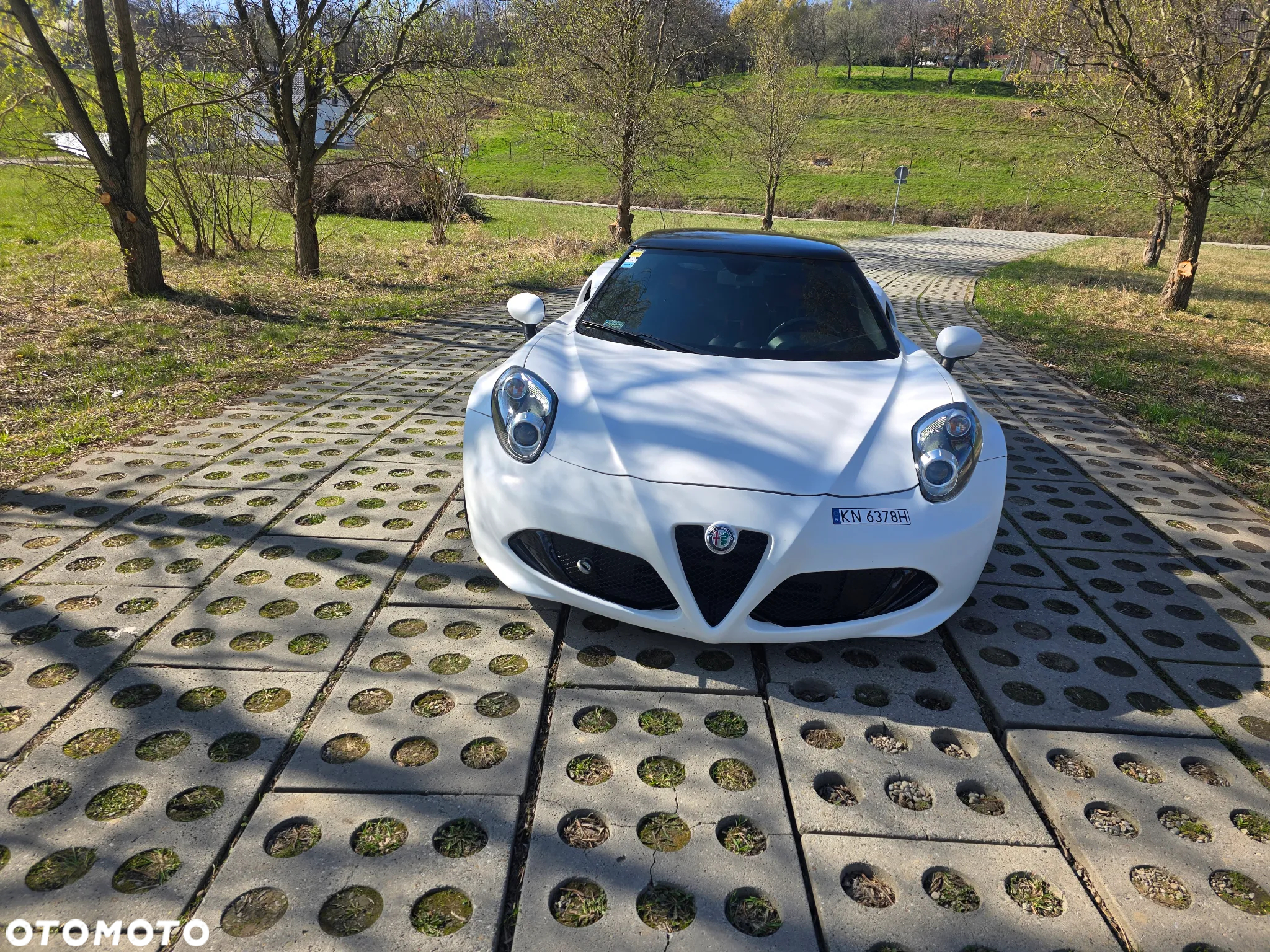 Alfa Romeo 4C 1750 TBi TCT - 14