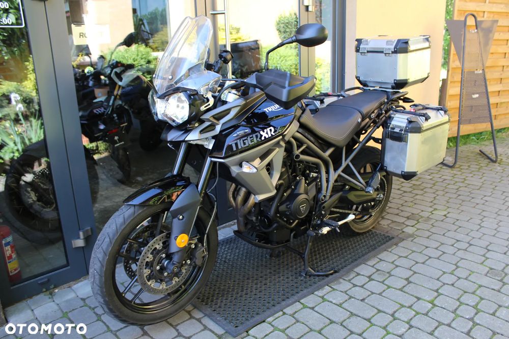 Triumph Tiger - 5