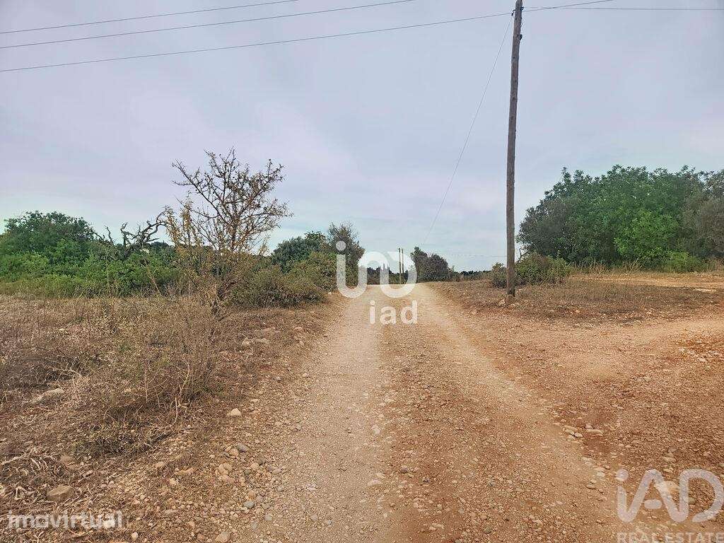 Terreno Agrícola em Silves - Grande imagem: 4/22