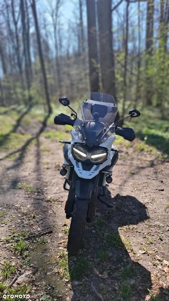 Triumph Tiger - 11