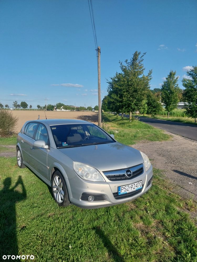 Opel Signum - 2