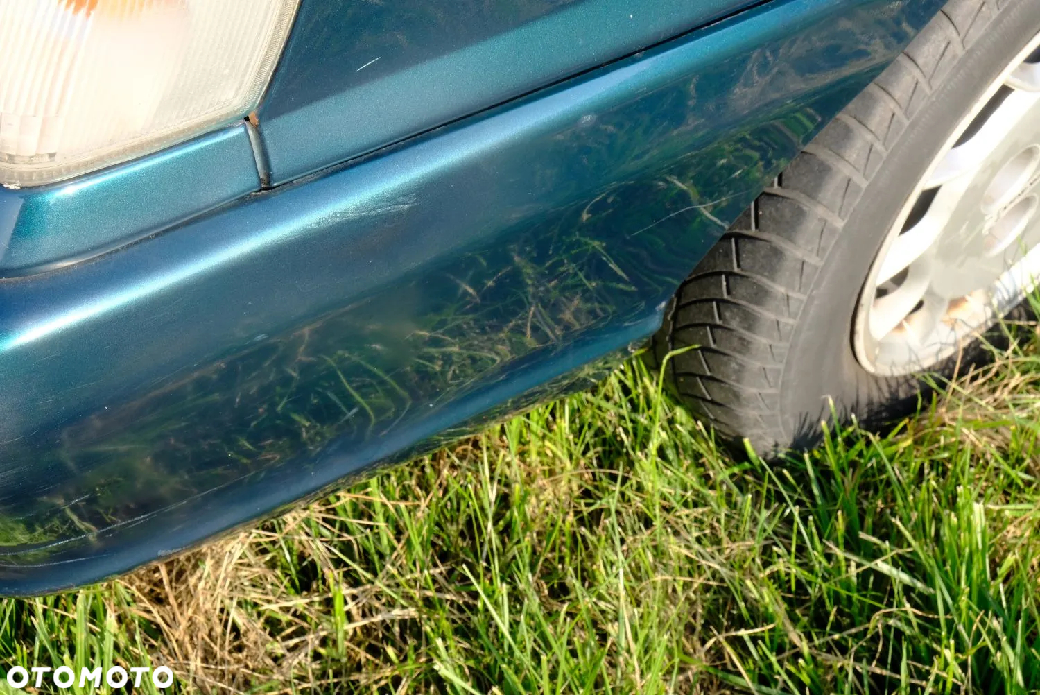 Polonez Caro - 24