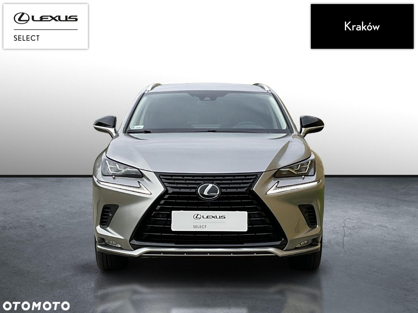Lexus NX 300h F Impression AWD - 8