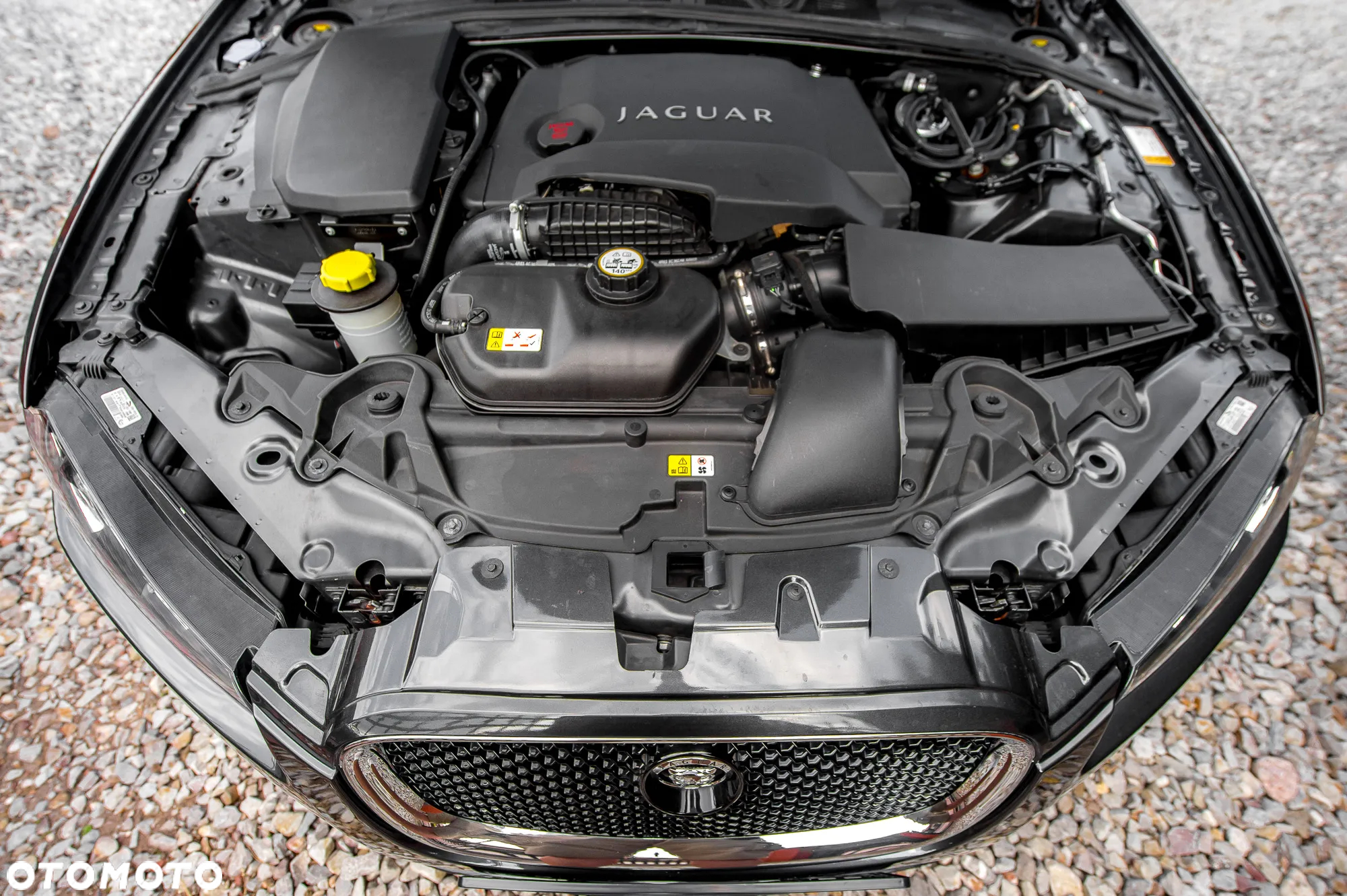 Jaguar XF 3.0 V6 Diesel S Luxury - 15