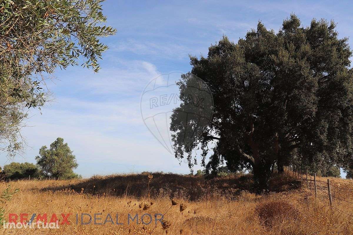 Quinta  para venda - Grande imagem: 3/9