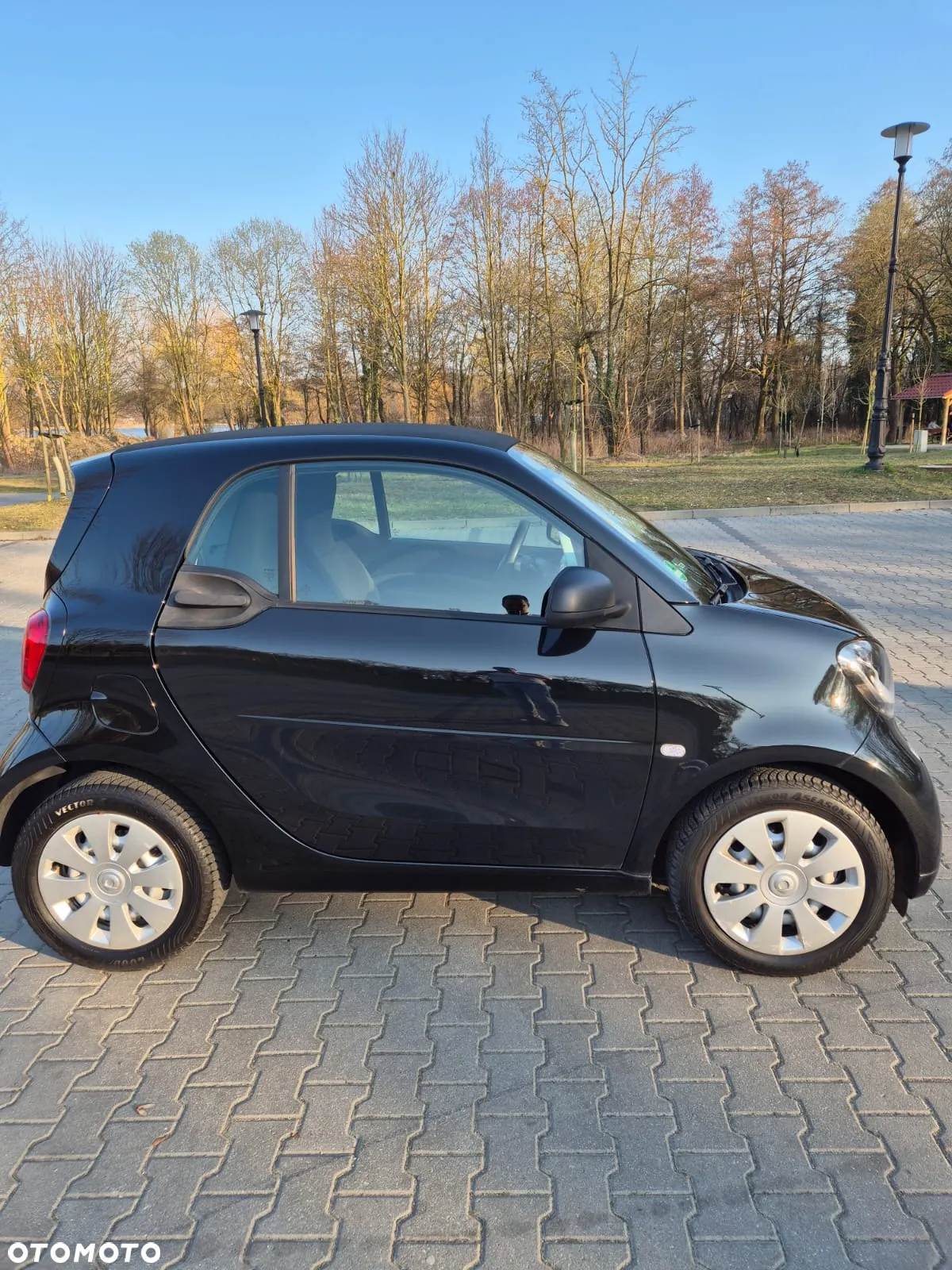 Smart Fortwo Standard - 13