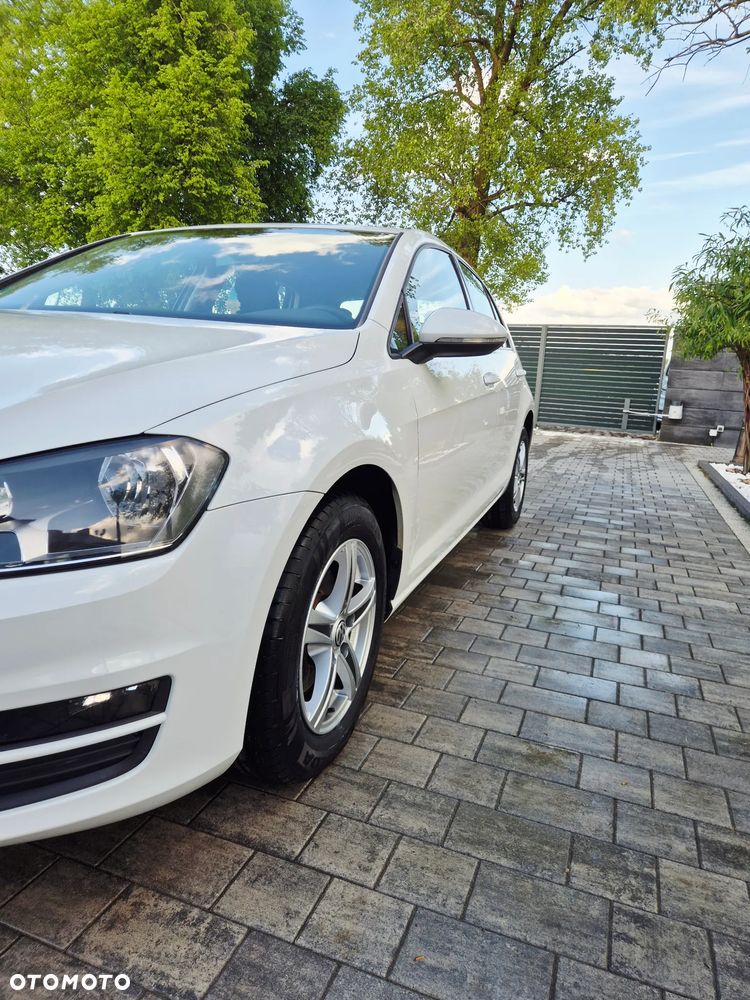 Volkswagen Golf - 17