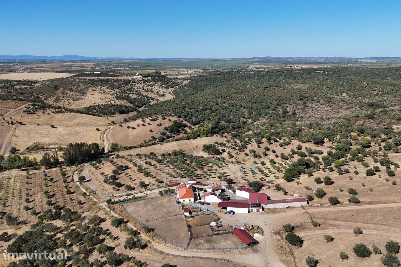 Herdade de 64 ha a 30 minutos de Évora que pode ser o seu refúgio no A - Grande imagem: 4/42