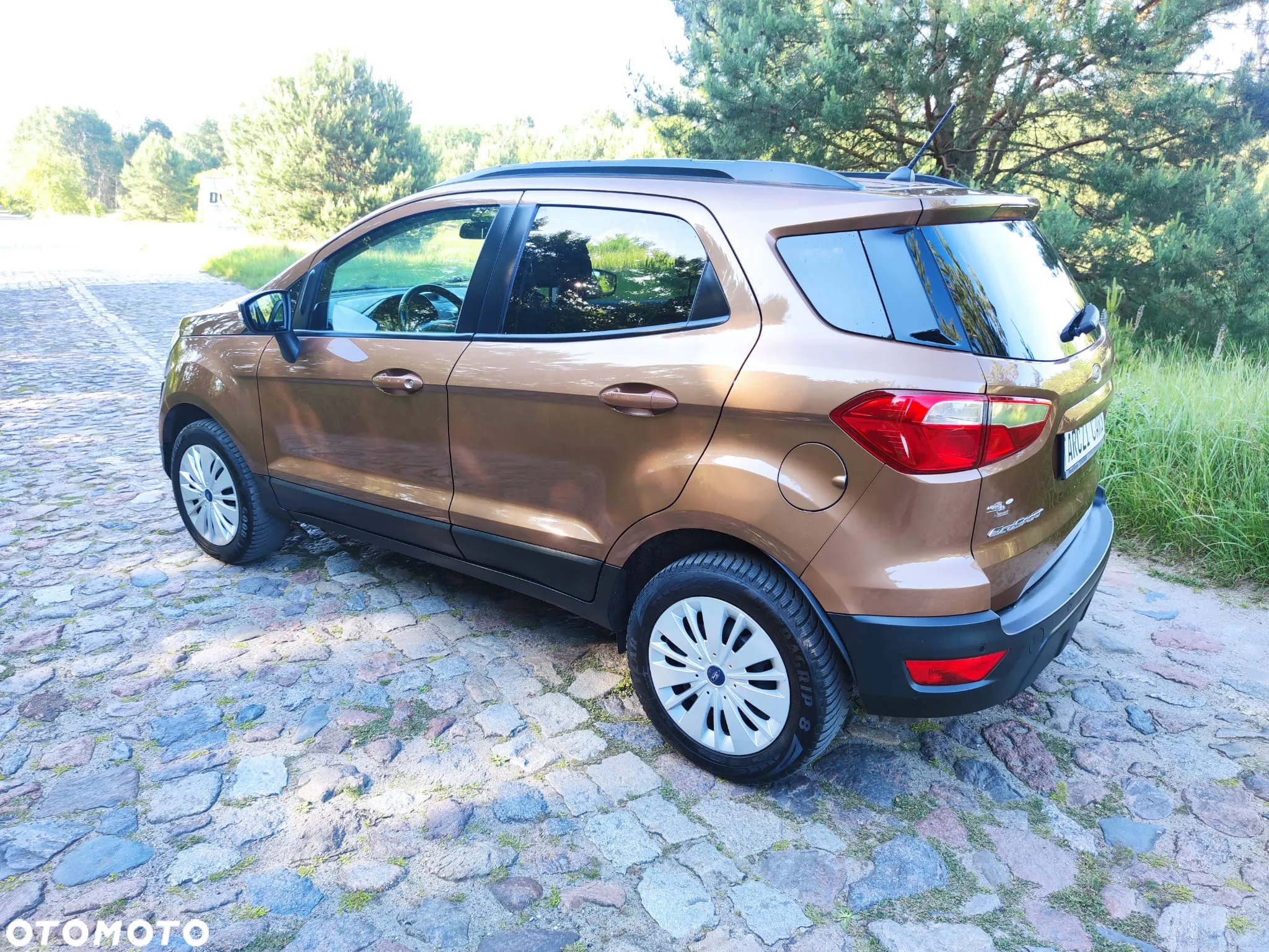 Ford EcoSport 1.0 EcoBoost - 3