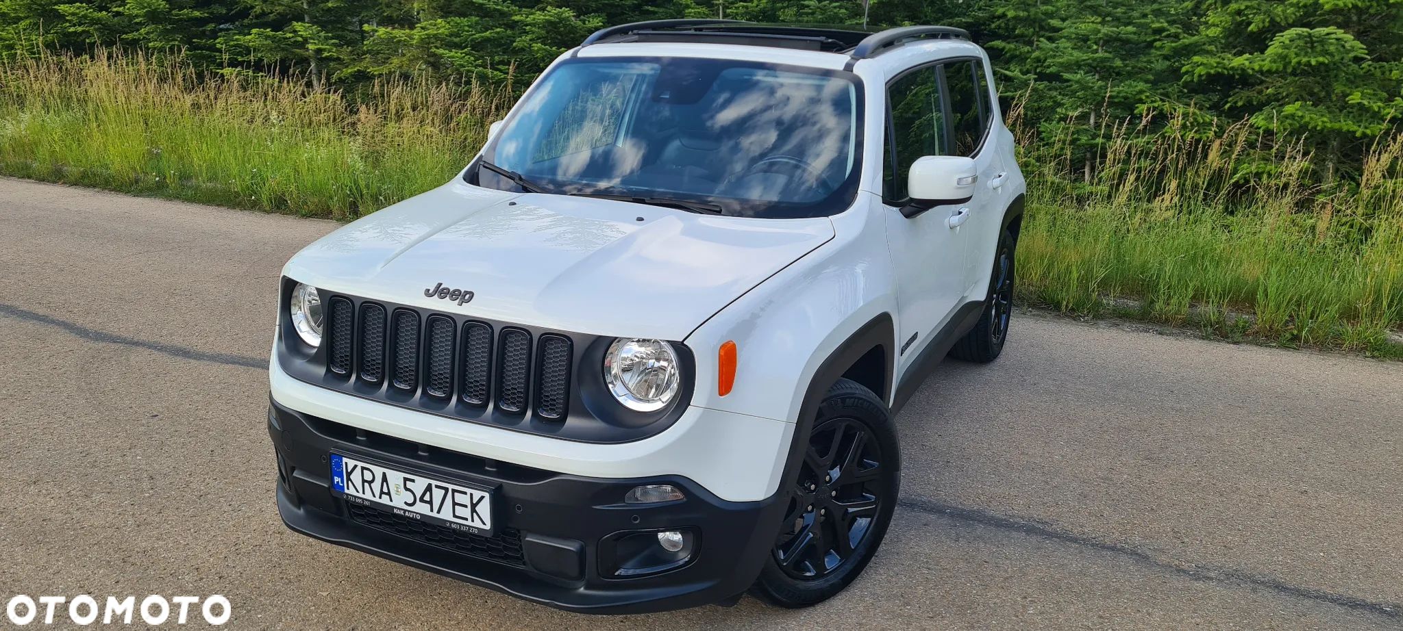 Jeep Renegade 1.4 MultiAir Limited FWD S&S - 1