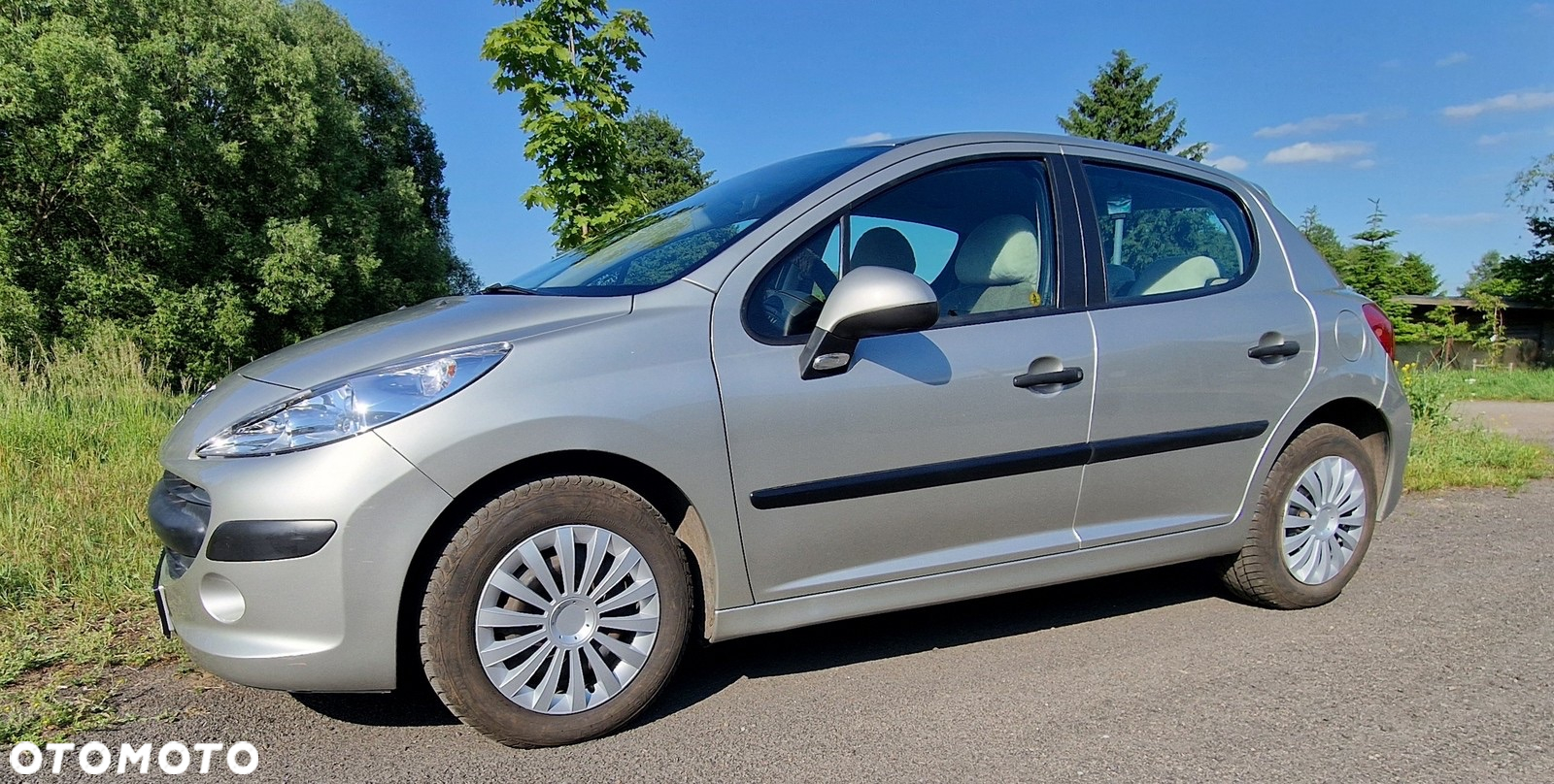 Peugeot 207 - 5
