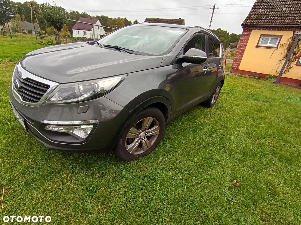 Kia Sportage - 1