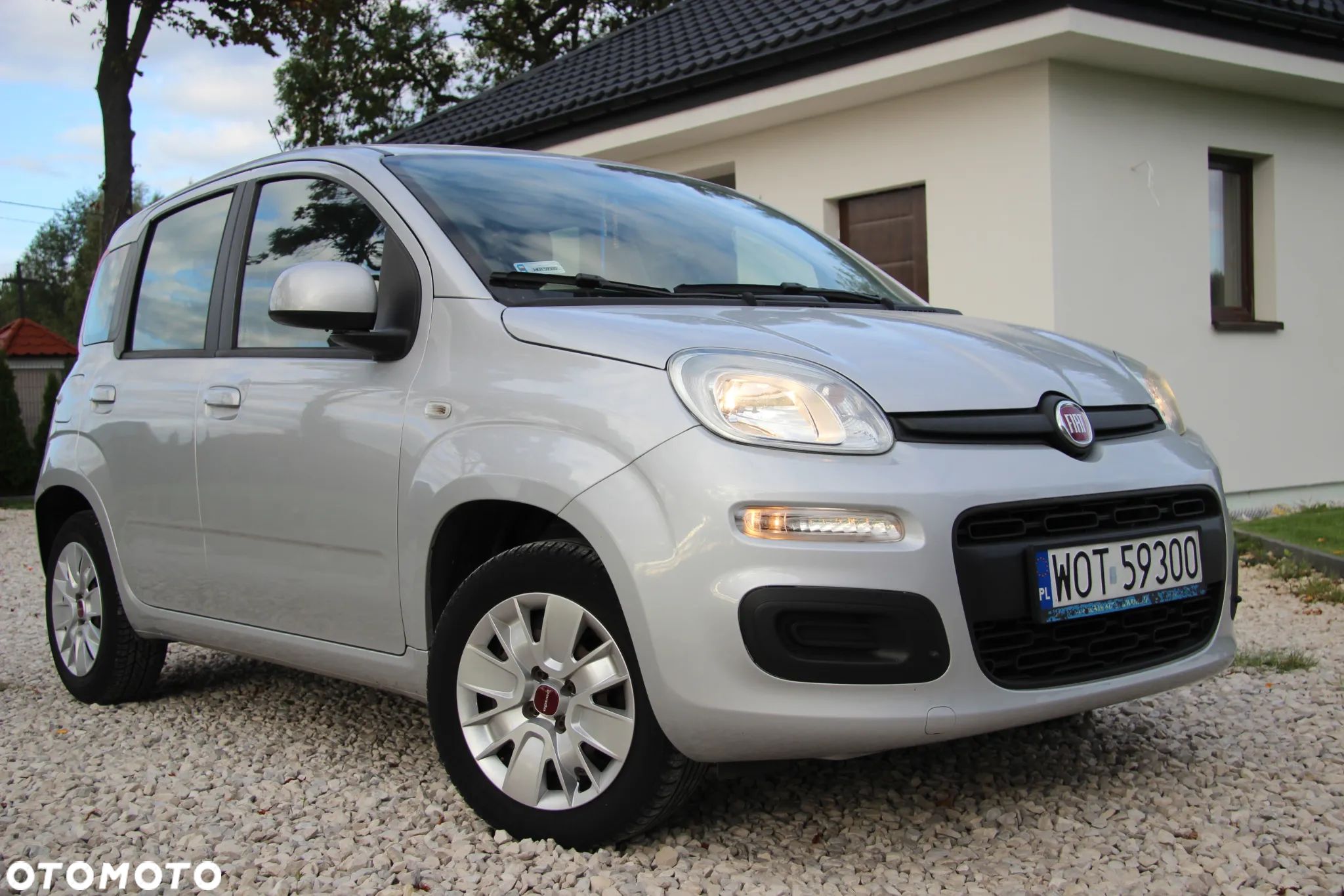 Fiat Panda 1.2 Young - 1