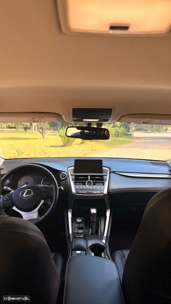 Lexus NX 300h F Sport 4WD - 12