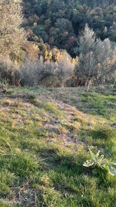 Terreno  para venda - Grande imagem: 3/18