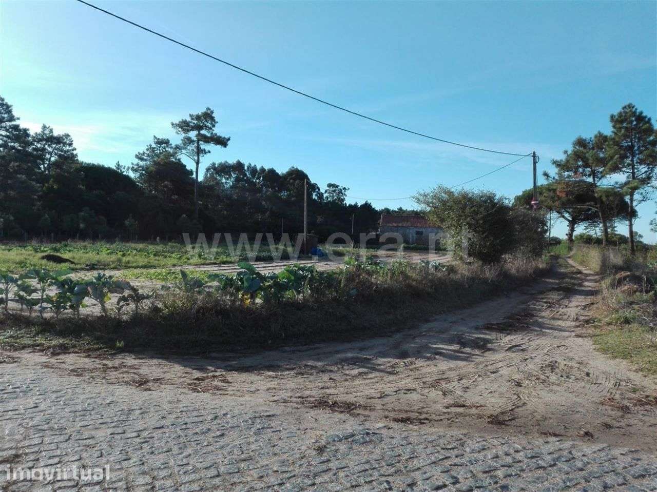 Terreno agrícola, Belinho, Esposende - Grande imagem: 2/6