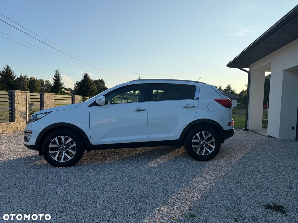 Kia Sportage 1.6 GDI Business Line L 2WD - 8