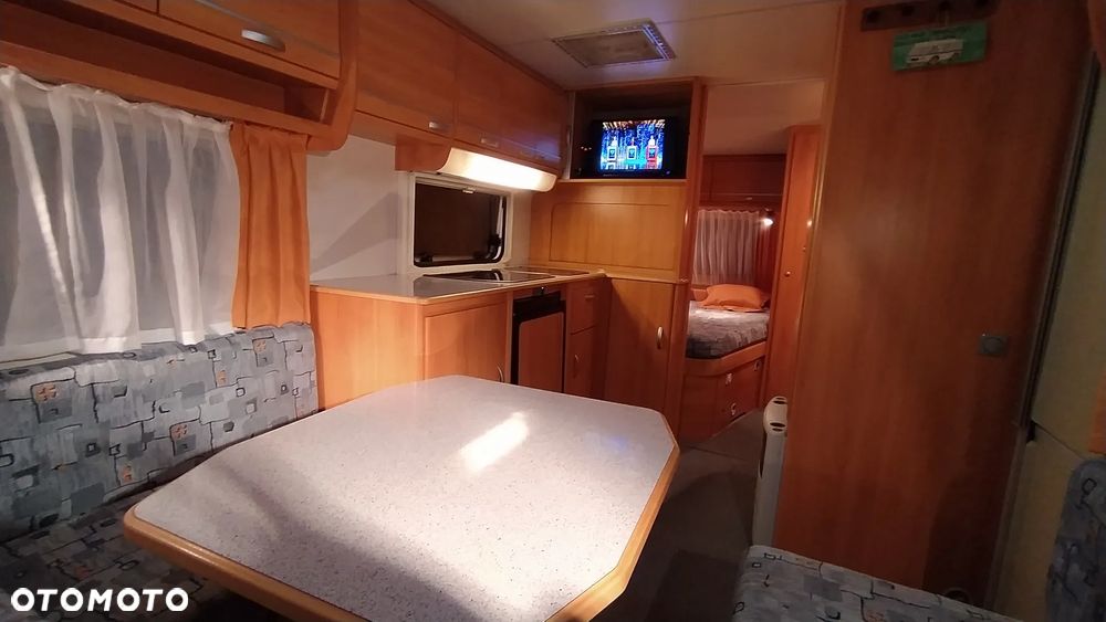 Wilk 490 Sport - 7
