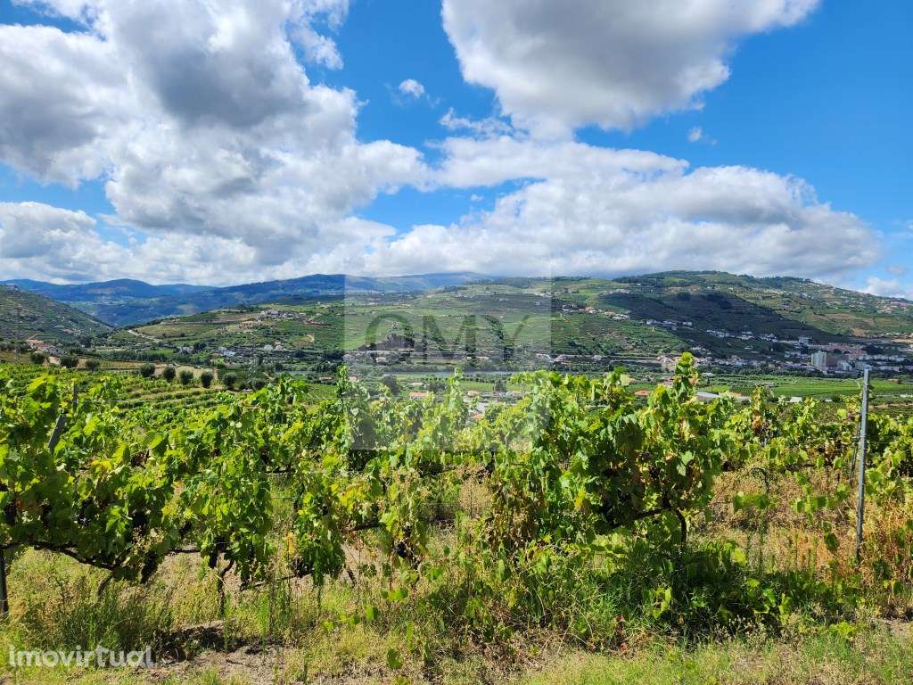 Terreno Vinícola com PIP em Apreciação para Boutique Hotel - Grande imagem: 3/18