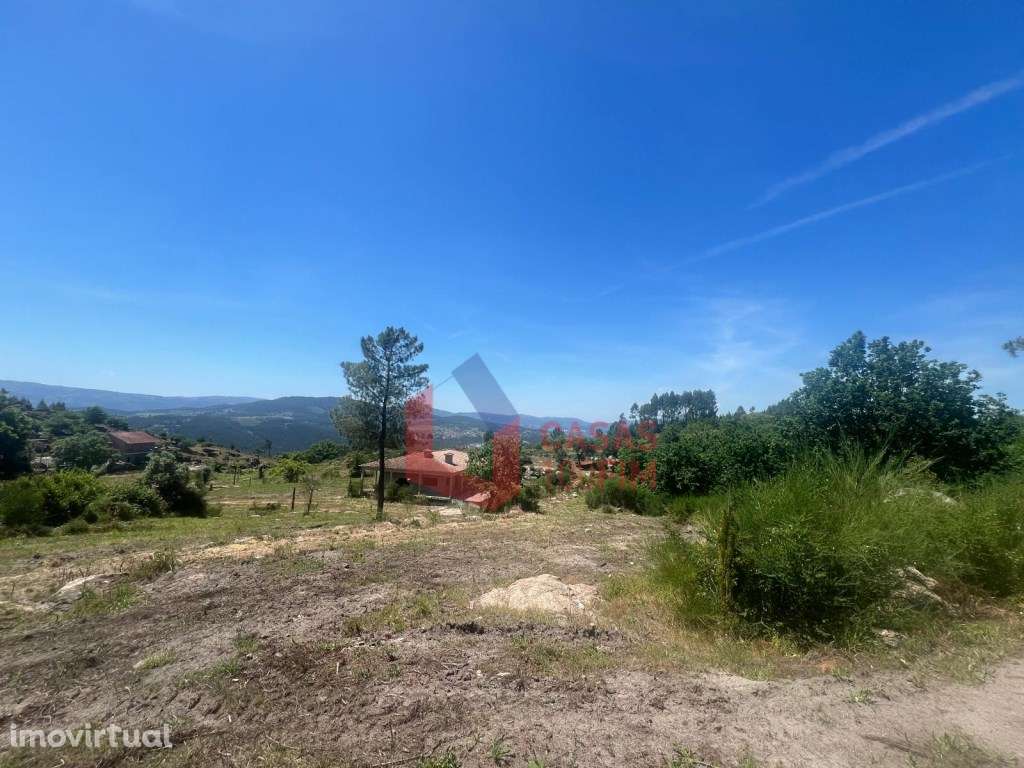 Quinta Rural com 12.806m2, com moradia térrea de 3 quartos em const... - Grande imagem: 5/28