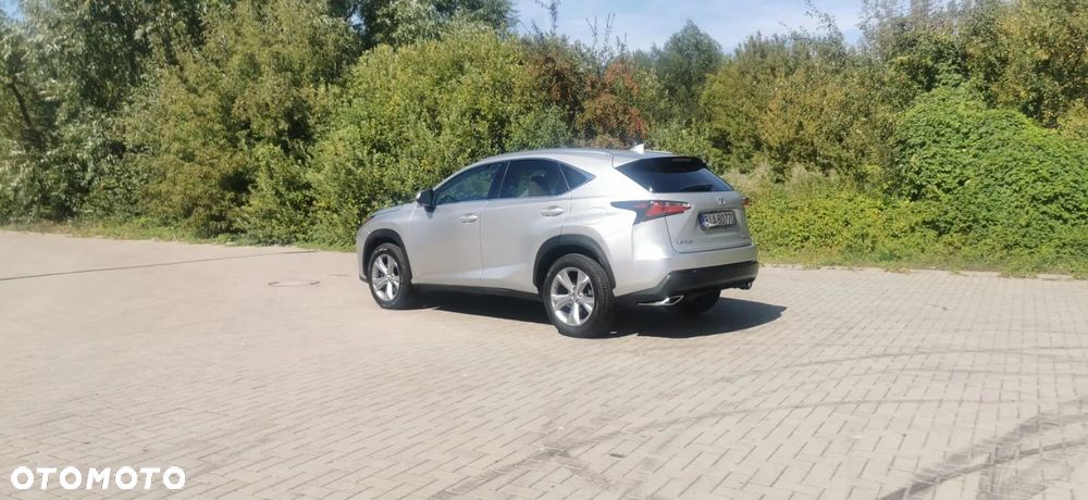 Lexus NX 200t - 6