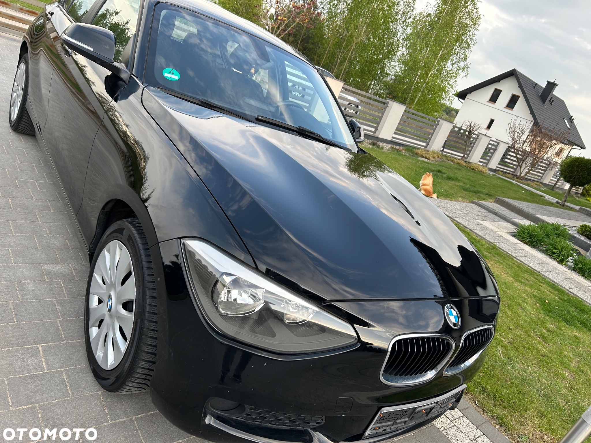 BMW Seria 1 116i - 15