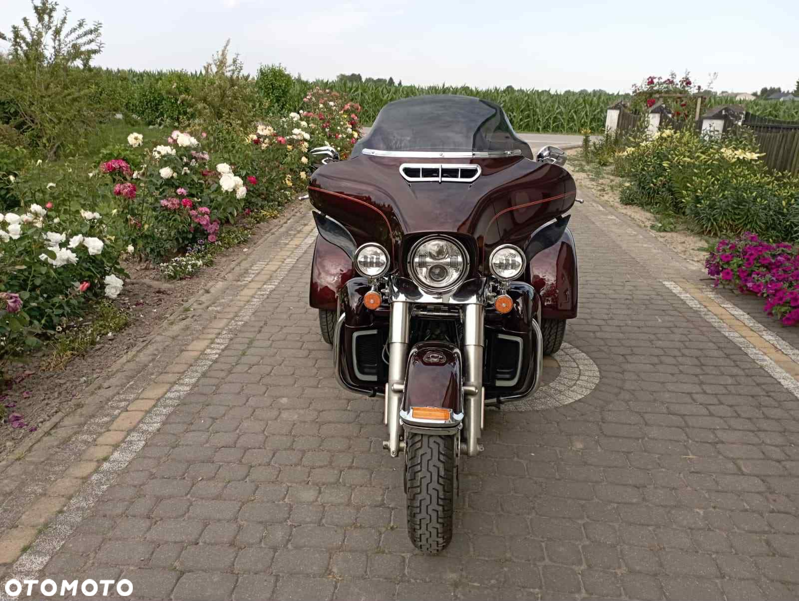 Harley-Davidson FLH Electra Glide - 5