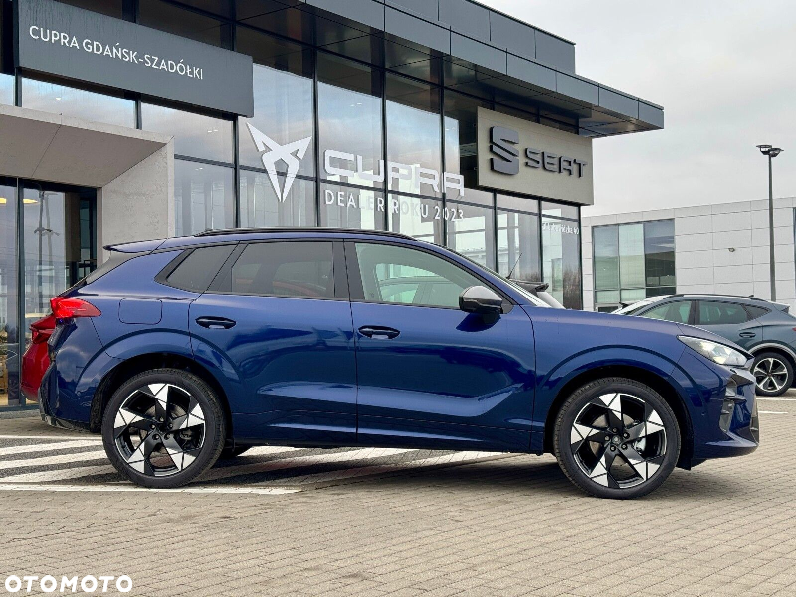 Cupra Terramar 2.0 TSI 4Drive DSG - 6