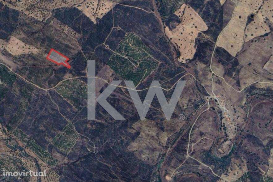 Terreno Rústico com 7420m2 sito em Murtas, Martim Longo - Grande imagem: 2/2