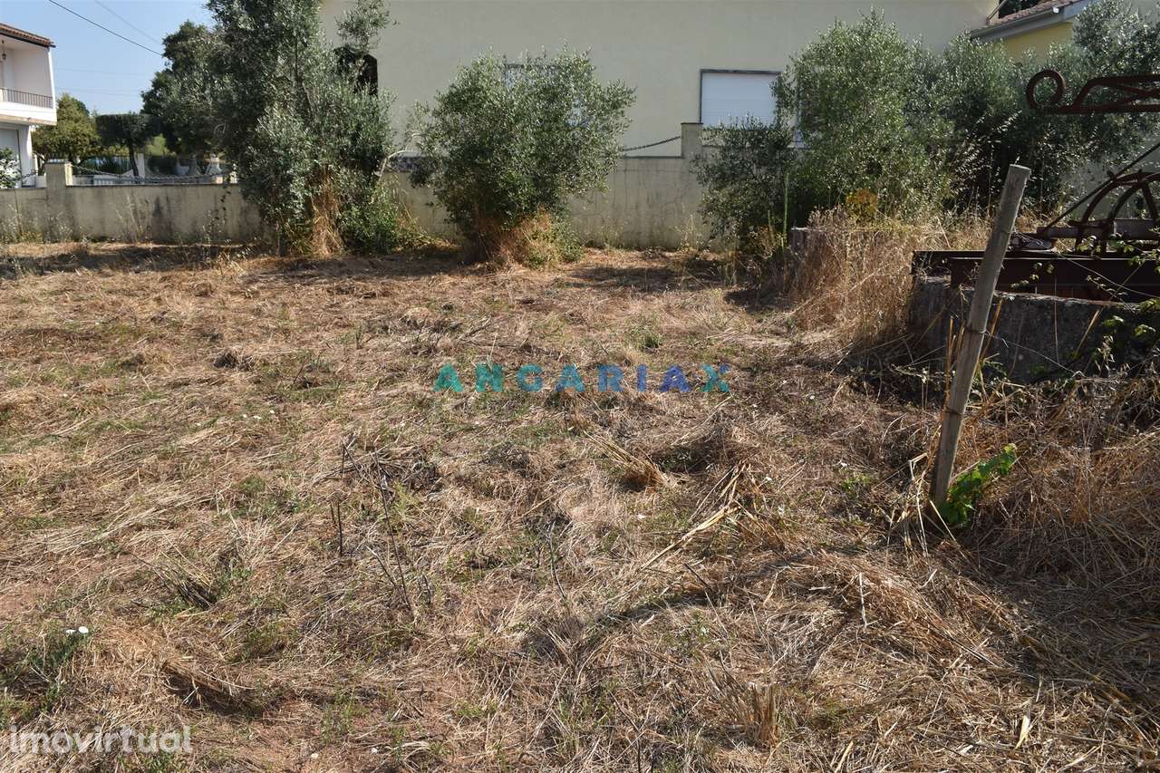 ANG1450 - Terreno para Venda em Figueiró dos Vinhos - Grande imagem: 4/20