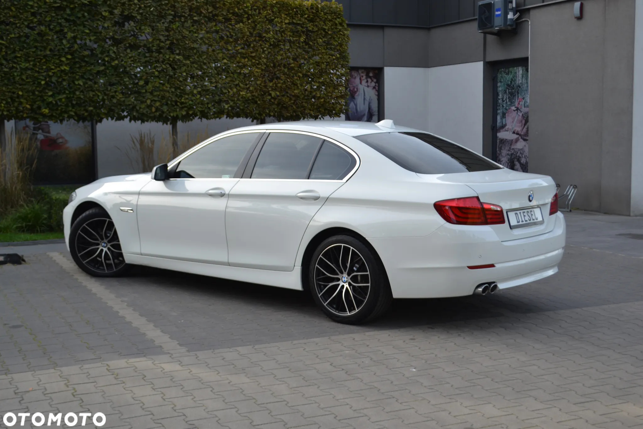 BMW Seria 5 - 8