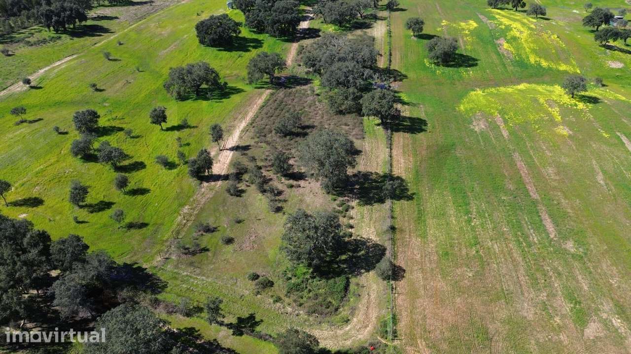Terreno Rústico com 1,8 Hectares e Rendimento de Sobro – Próximo da Ba - Grande imagem: 3/16