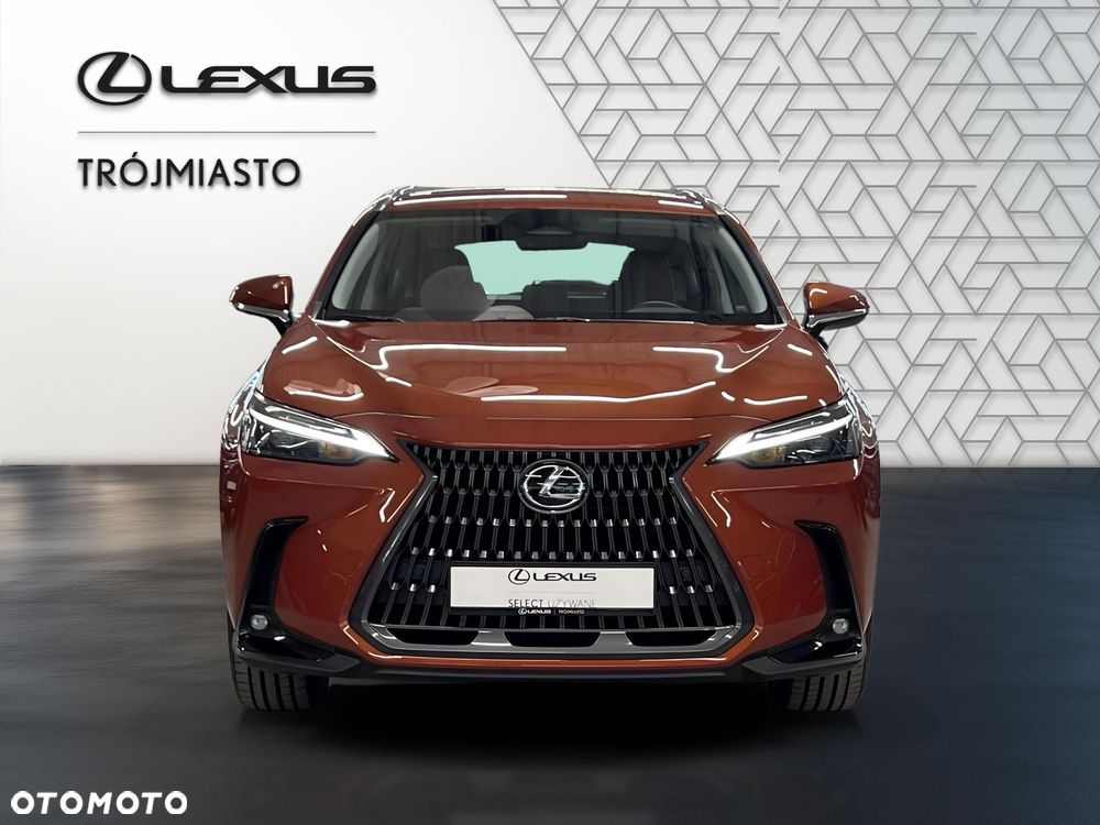 Lexus NX 350h Business AWD - 9