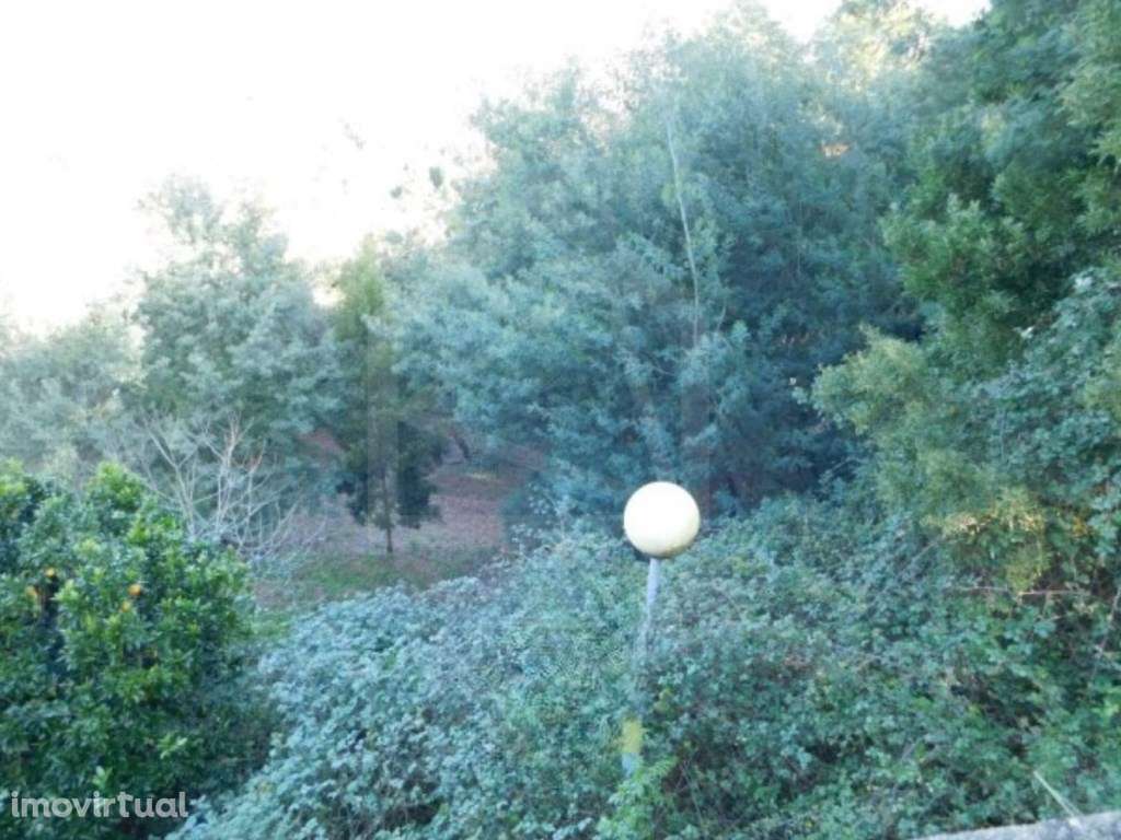 Terreno Urbano no Luso - Grande imagem: 3/18