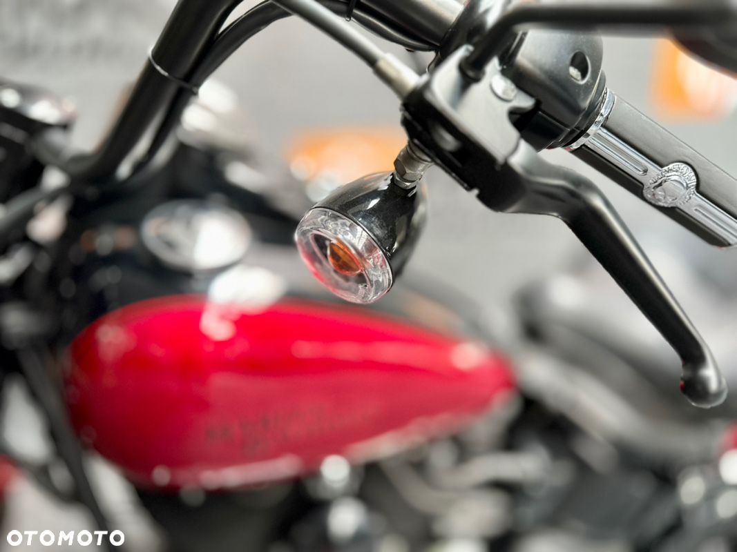 Harley-Davidson Softail Cross Bones - 9