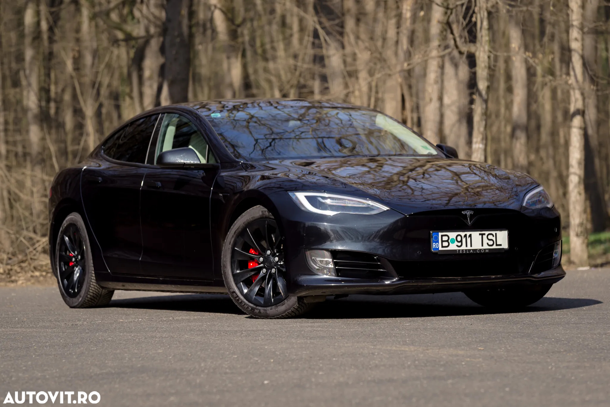 Tesla Model S Performance - 5