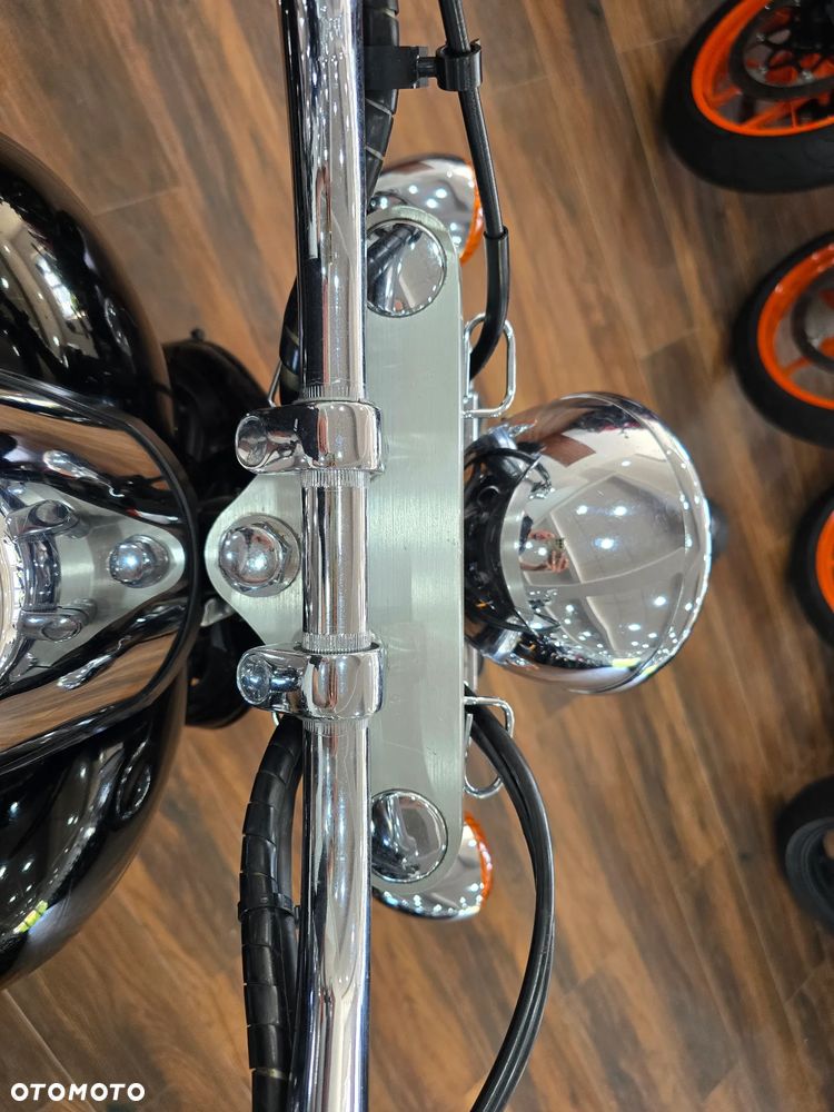 Kawasaki Vulcan - 13